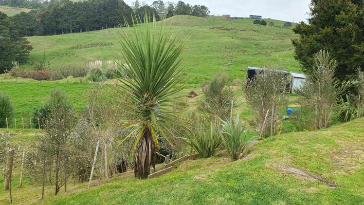 4 Kendall Road Maungakaramea_13