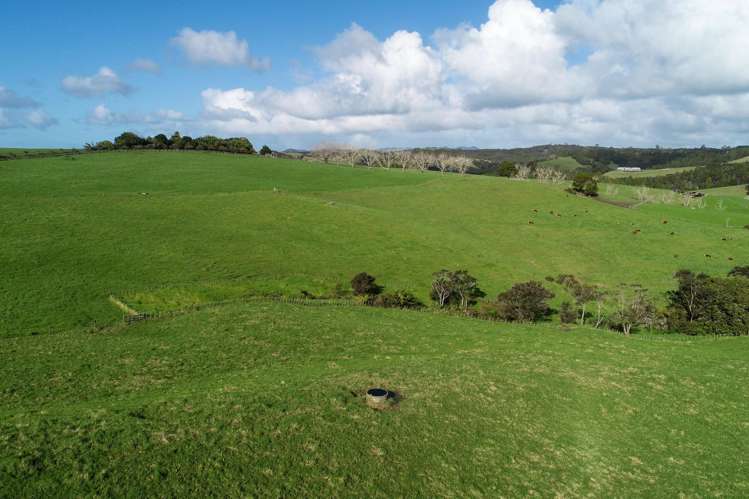 140 Te Arai Point Road Te Arai_13