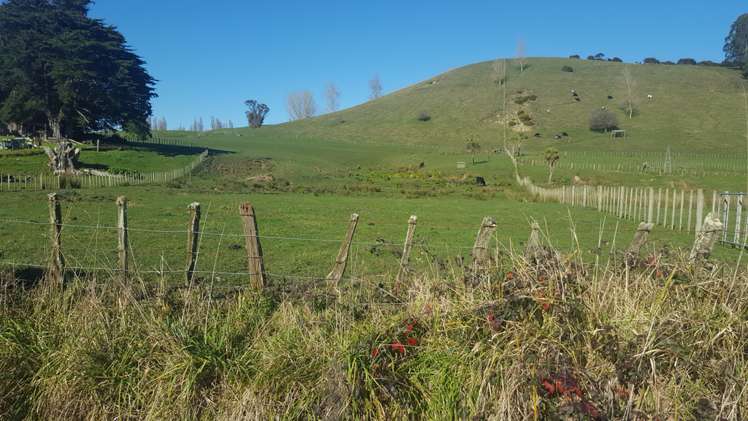 111 Waireka Road Papaiti_2