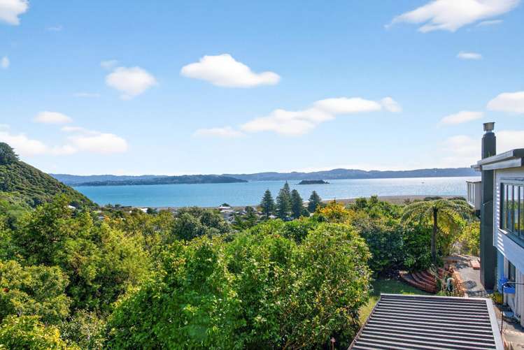 19 Karaka Street Eastbourne_35