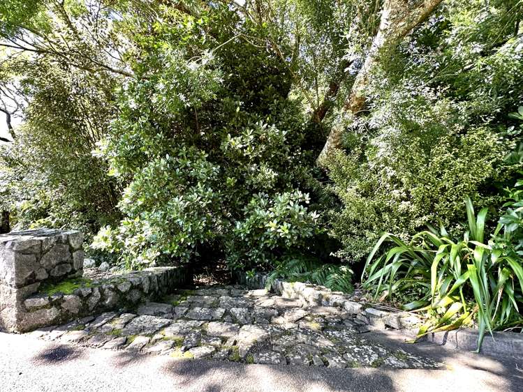 Lot 2 - 77 Blue Gum Lane Kerikeri_7