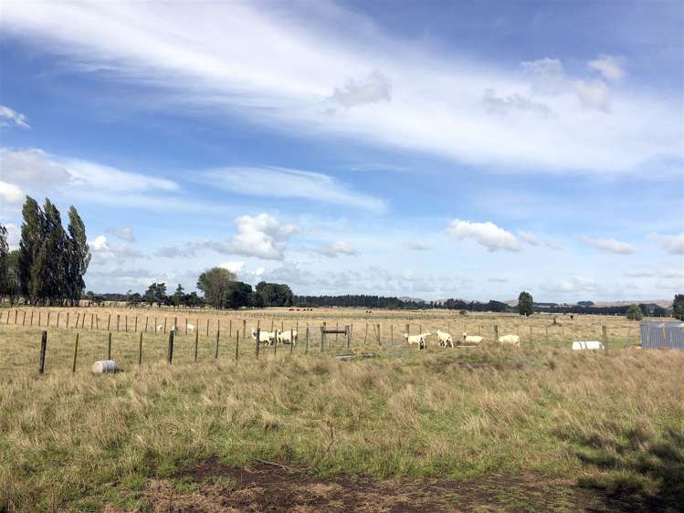 471 Porangahau Road Waipukurau and Surrounds_17