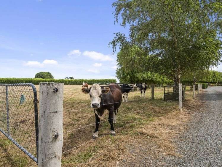 426 Old Tai Tapu Road Tai Tapu_23