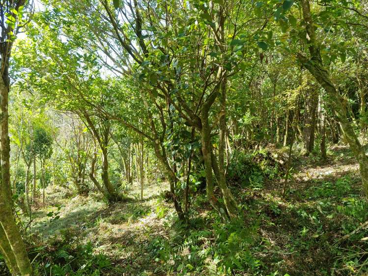 268b Stratton Street Normandale_7