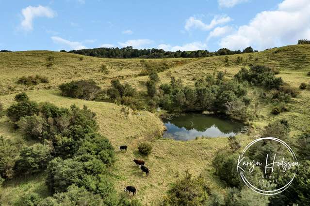 897 Bull Road Paparoa_4