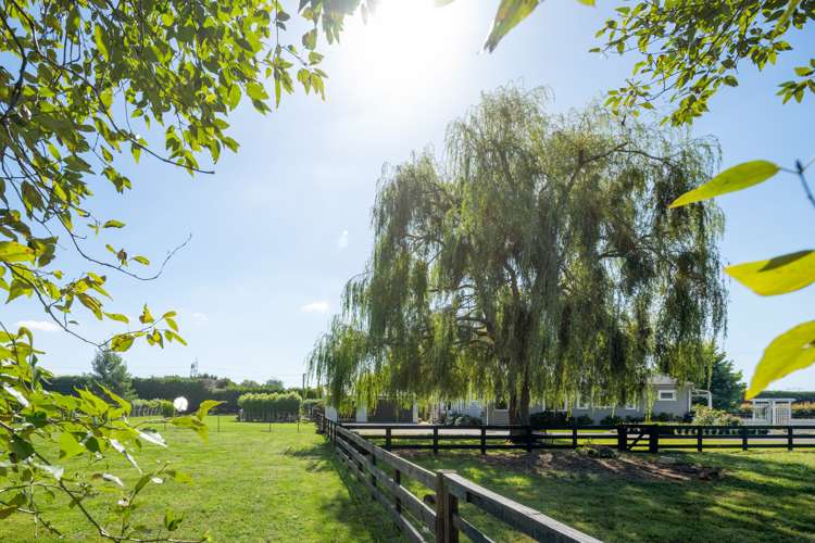 309a Hautapu Road Tamahere_6