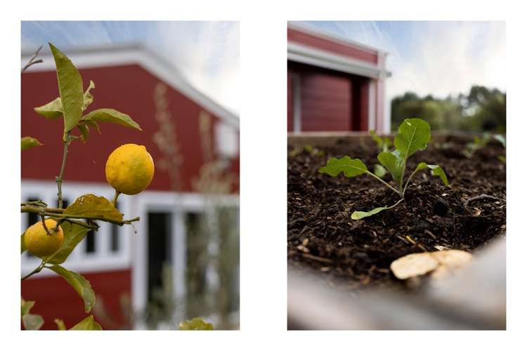 173a Belk Road South Kaimai_24