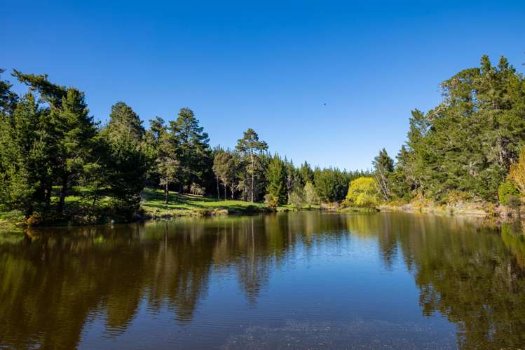 240 George Harvey Road Upper Moutere_33