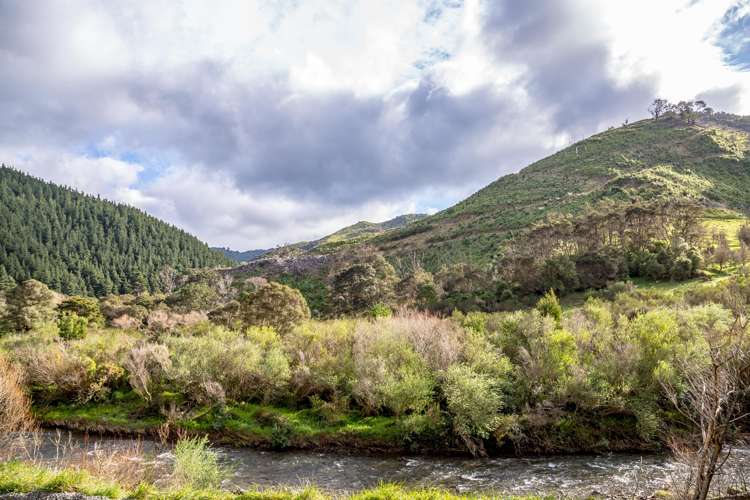 512 Mangatarere Valley Road Carterton_7