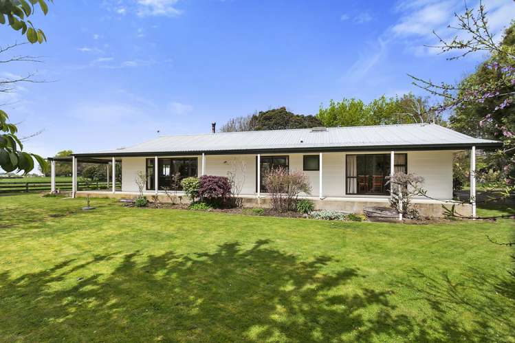 124 Horrell Road Morrinsville_17