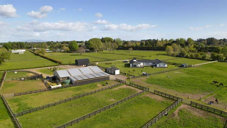 27c Marshmeadow Road Newstead_35