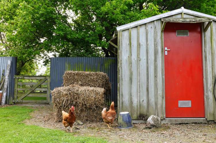 281 Landsborough Road Otipua Creek_24