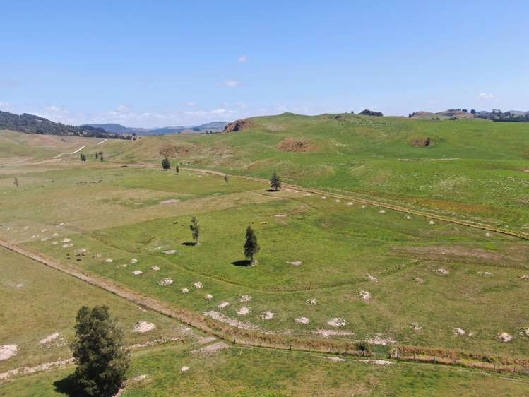 Kahuwera Road Piopio_12