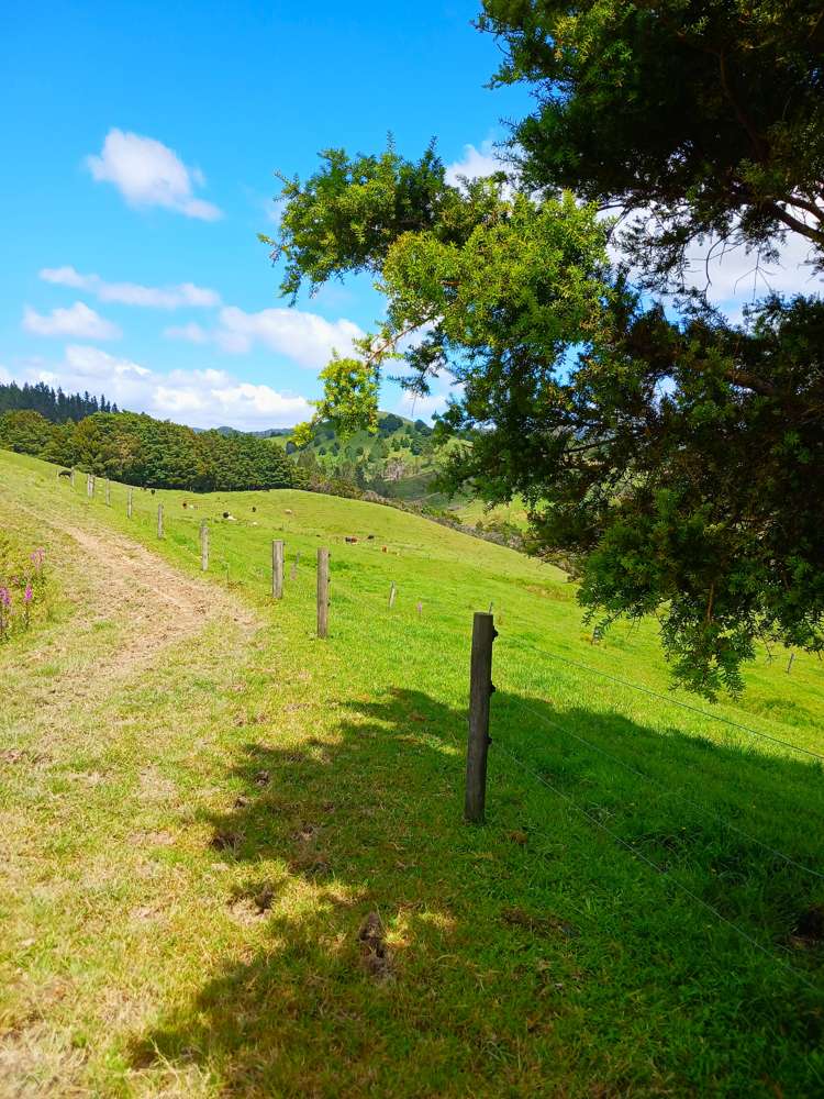 Lot 2 Otangaroa Road Kaeo_15