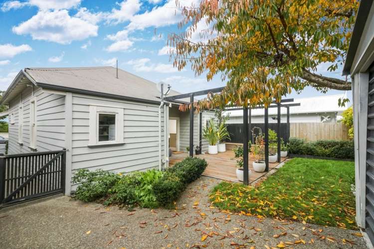 53 Williamson Avenue Grey Lynn_6