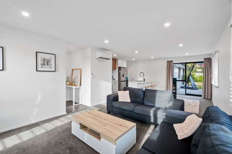 20 Pallid Green Rolleston_8