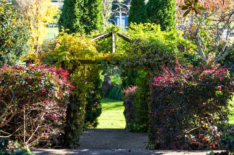 362 Koromatua Road Temple View_20