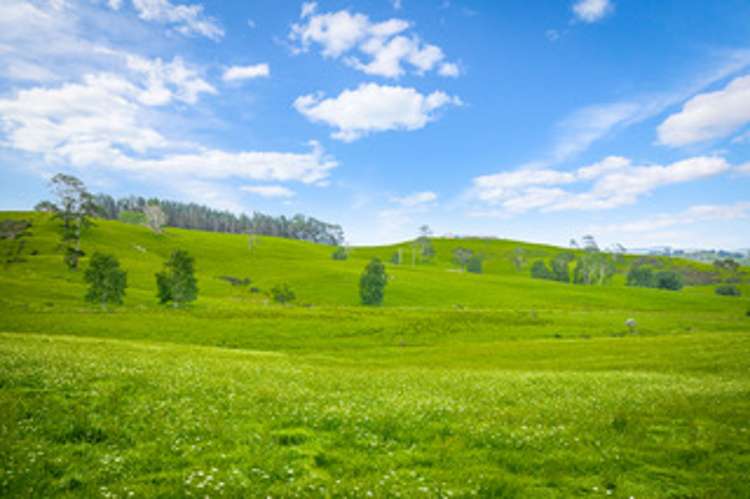 515 Kahikatea Flat Road Pine Valley_9