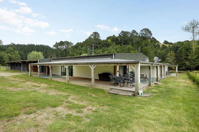 5908 Highway 22 Waingaro_1