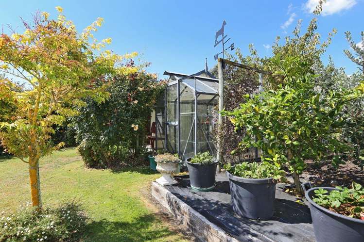 22 Palmbrook Avenue Havelock North_18