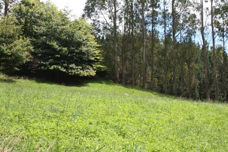 303 Arthur Road Te Pahu_6