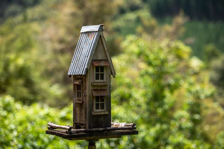 1160 Wakamarina Road Havelock_22