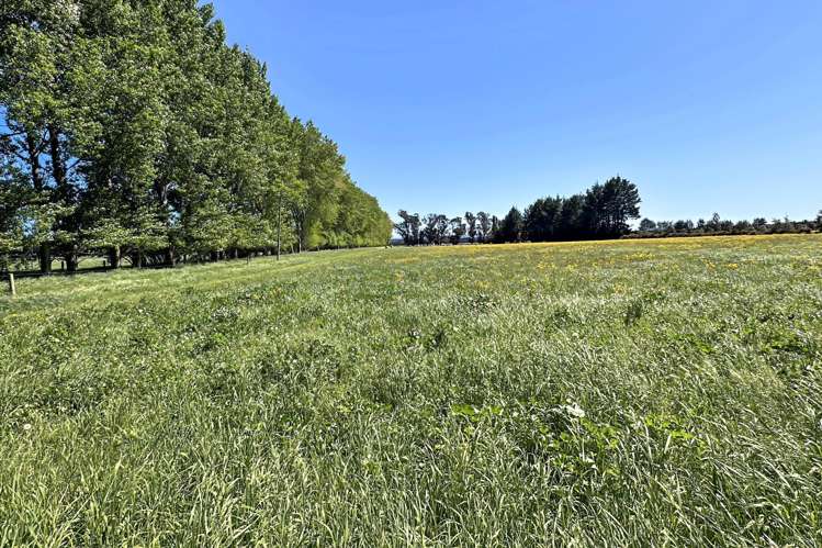 732 Rangiora Leithfield Road Leithfield_8