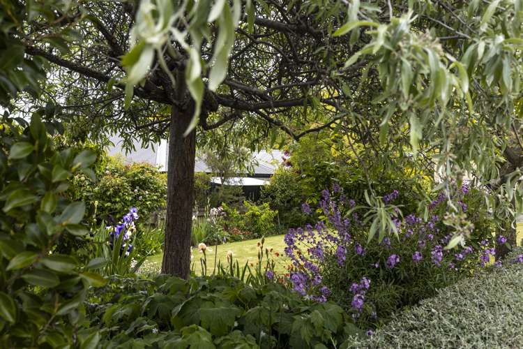 57 Forest Park Drive Witherlea_16