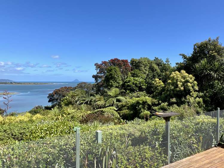 248 Ohiwa Harbour Road Opotiki_10
