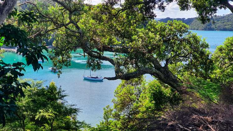 Lot 2 DP51532 Bon Accord Harbour Kawau Island_2