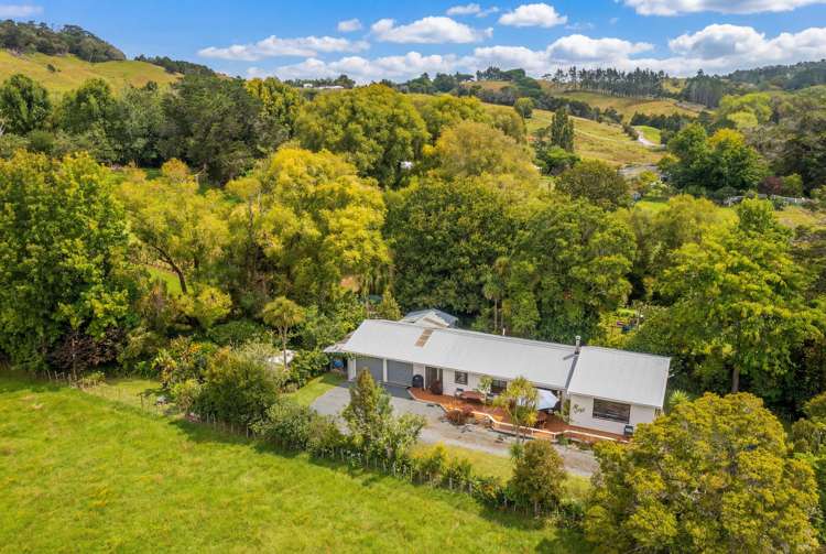 605 Whakapirau Road Whakapirau_27