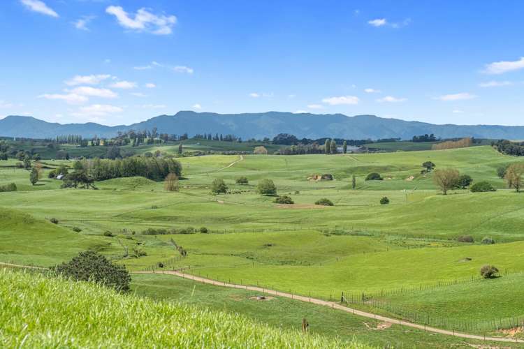 258 Paratu West Road Richmond Downs_44