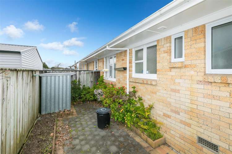 10 Albert Street Hamilton East_5