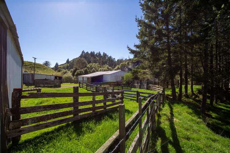 312 Lud Valley Road Hira_20