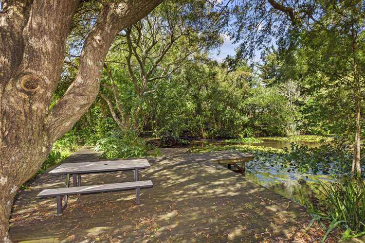 91d Greenslade Road Raglan_4