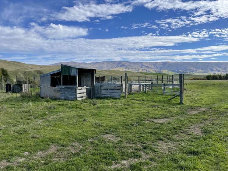 Kinney Road Chatto Creek_6