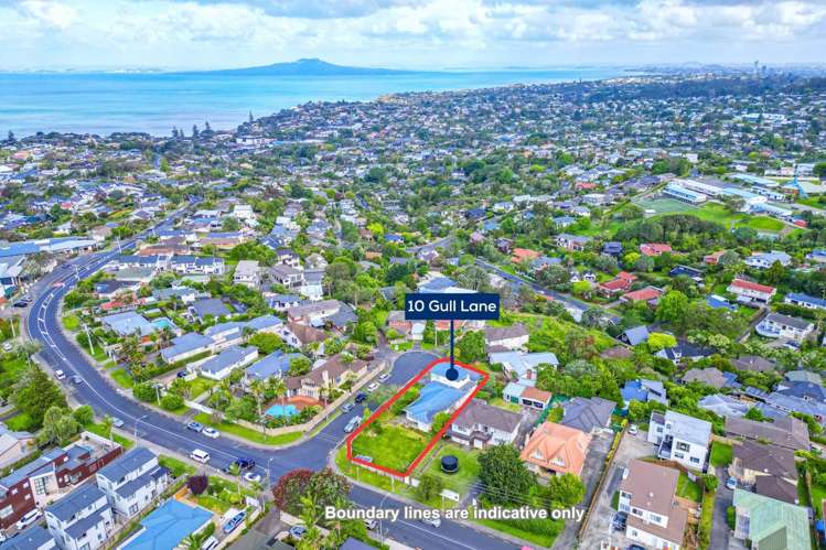 10 Gull Lane Mairangi Bay_10