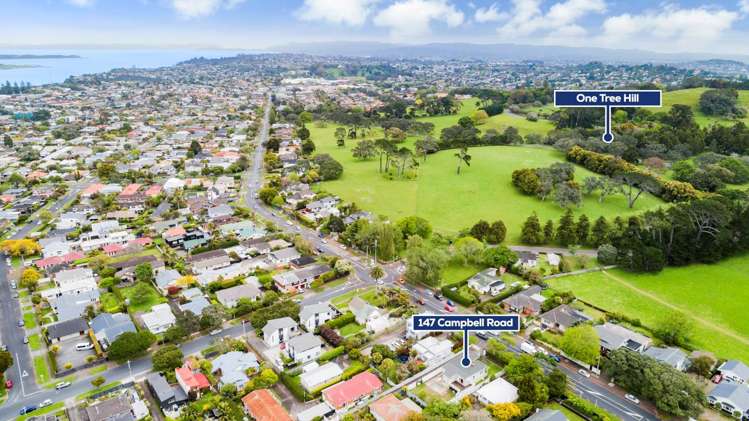 147 Campbell Road One Tree Hill_17