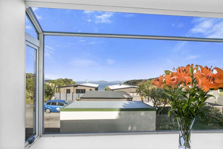 7 Pine Tree Lane Korokoro_6