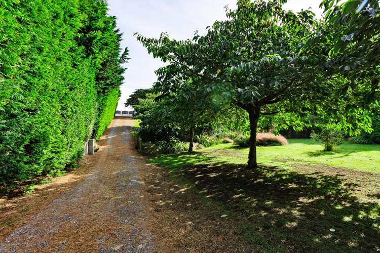 1579 Tokanui-Gorge Road Highway Fortrose_19