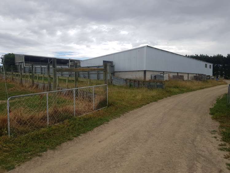 31 Whitiker Road Clinton and Surrounds_8