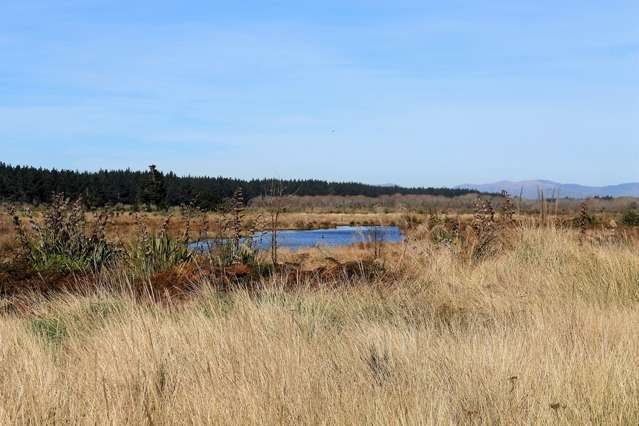 68 Te Kohanga Drive Pegasus_1