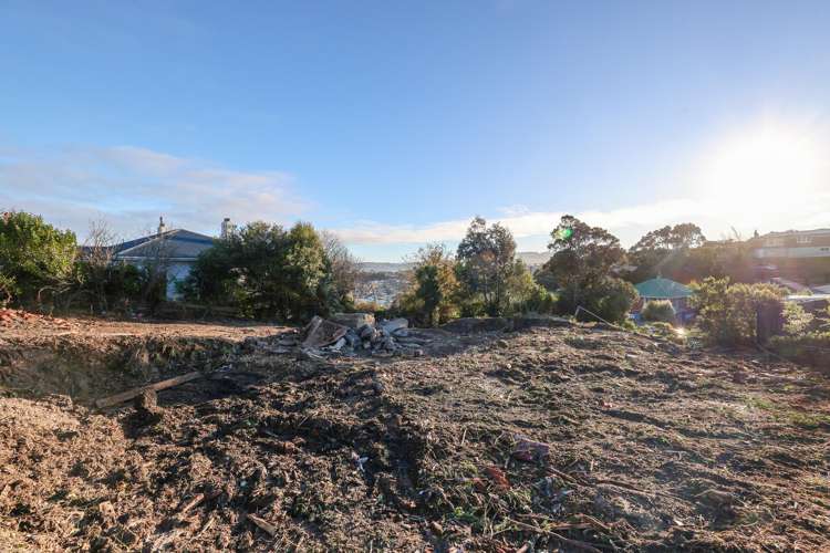 43 Arawa Street Tainui_6