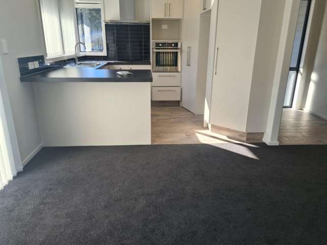 126 Adler Drive 1115_3