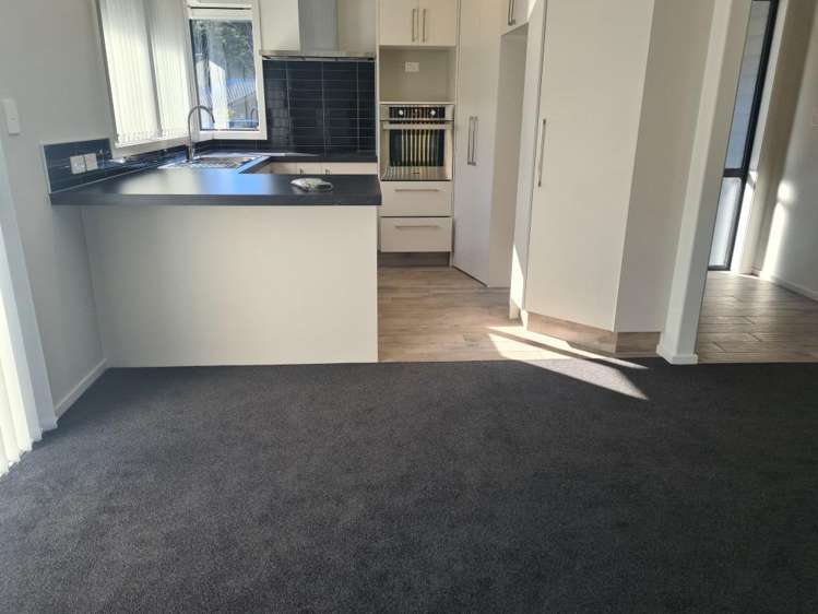 126 Adler Drive 1115_3