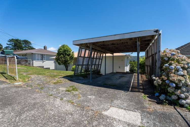 26 Sievers Grove Cannons Creek_16
