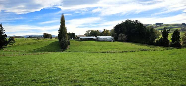 104 Bushy Park Road Waikaka_15