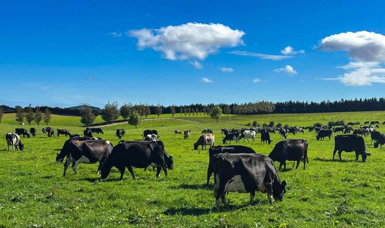 91 The Narrows Road Riverton & Surrounds_12