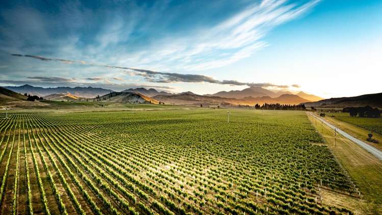 413 Upton Downs Road Seddon_7