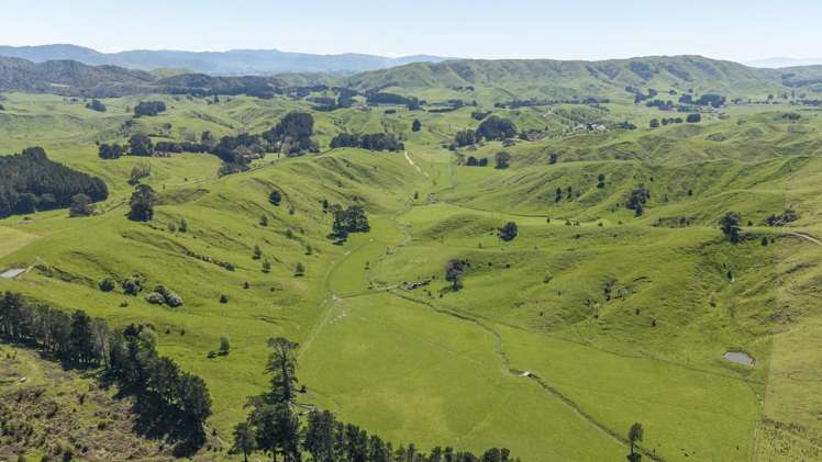 344 North Road Masterton_16
